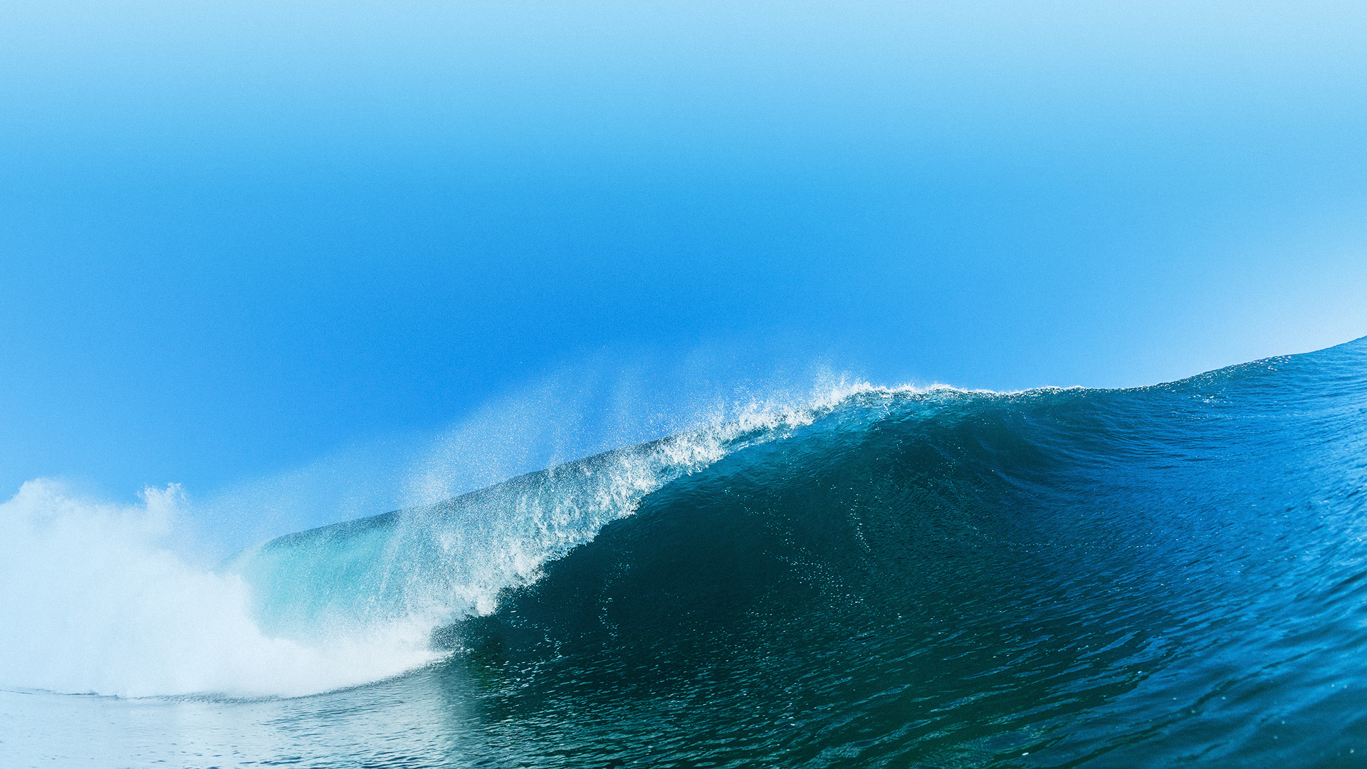 致力成為醫藥行業<br>MA解決方案領導者